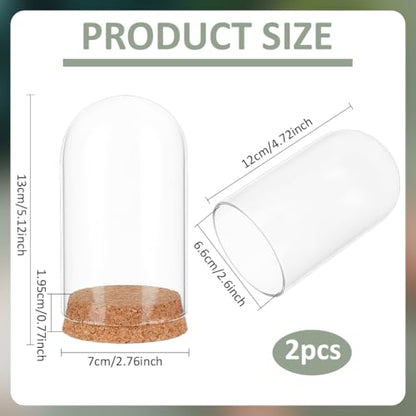BENECREAT 2 Pcs Glass Display Cloche, 2.8x5.1 inches Bell Jar Dome with Cork Base, Display Dome Glass for Flower, Plant, Miniature and Craft, Home Decoration, ID: 2.6 inches - size: 2.8x5.1 Inch