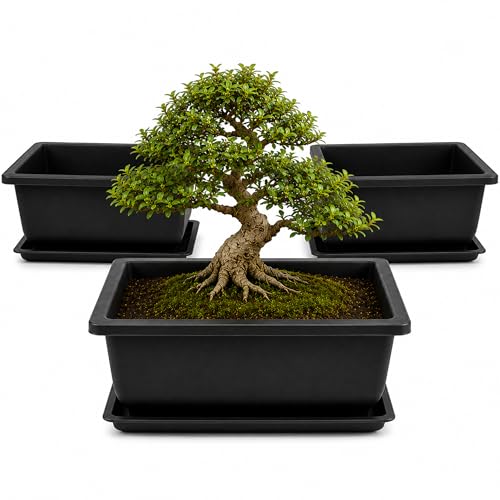 Plastic Bonsai Training Pots 3 Pack, 9 Inch with Drainage Holes and Trays | Shallow rectangular bonsai pots with drainage holes, built-in mesh and matching trays for repotting and root work - size: Large