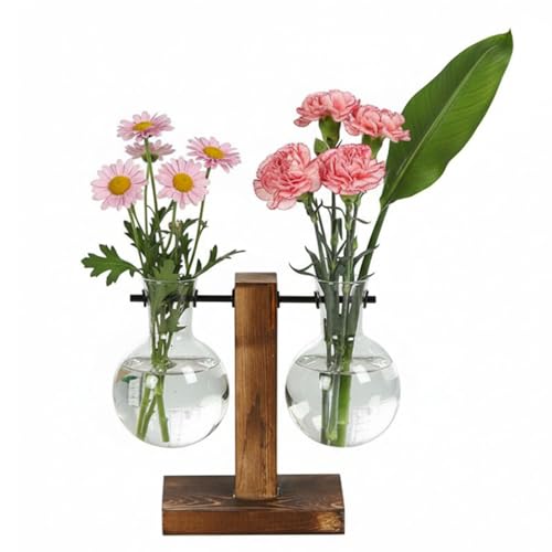 Plant Propagation Station with 2 Glass Vases & Wood Stand, Hydroponic Planter Terrarium for Home Office Desk Decoration, Propagation Vases for Plants & Cuttings, Gift for Plant Lovers - color: 2 Bulb B