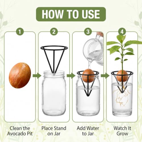 2 Pcs Avocado Seed Germination Stand, Plant Rooting Vase Support, Multipurpose Propagation Kit for Vegetables and Fruits, Sturdy Metal Frame for Indoor Gardening (Jars Not Included)
