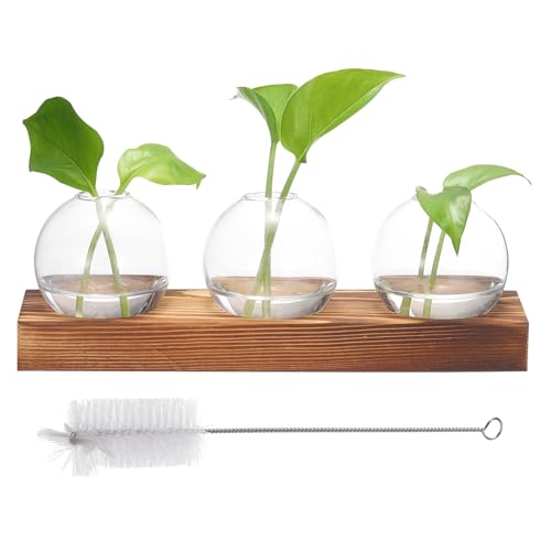 PATIKIL Plant Propagation Stations Glass Vases Plant Terrarium Container | Small Desktop, with Wooden Tray, 3 Bulb, Flower Vase, for Hydroponic Office Home Decor Plants Indoor