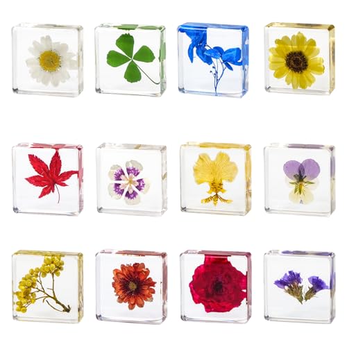 12 Pcs Flower Paperweight, Real Flower Specimen Pressed Flowers in Resin, Botanical Paperweights for Desk Decor & Unique Display Supplies (12 Pcs Flower Set 3) - color: 12 Pcs Flower Set 3