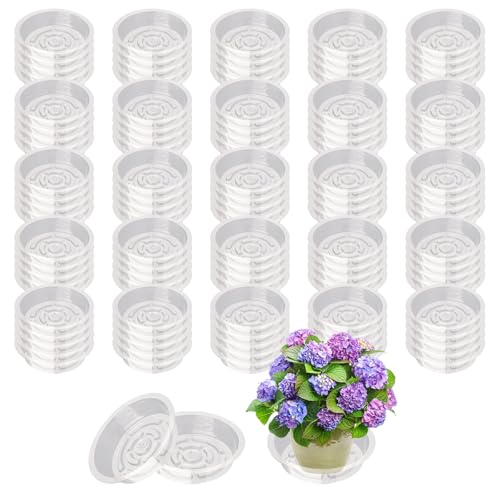 100 Pack Plastic Plant Saucers 6 Inch Clear Plant Water Trays | Durable Plastic Flower Pot Saucers, Plant Drip Trays, Suitable for Indoor and Outdoor Plants, Lightweight, Home Decor