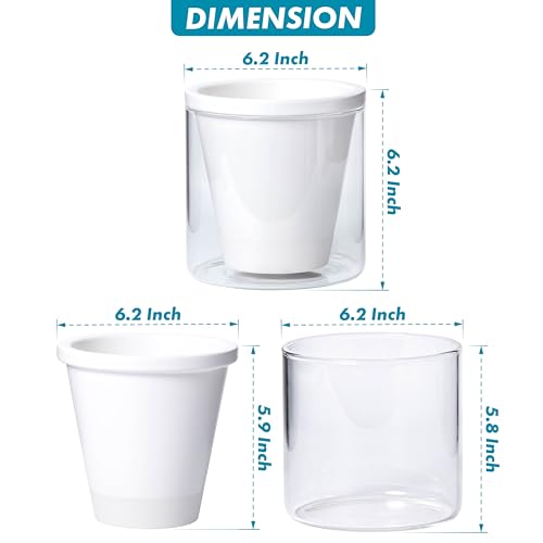 D'vine Dev Self-Watering White Terracotta Planter Pot, 6 in, 37-X-B-2 | Terracotta & Glass Design, Clear Water Reservoir, Visible Water Level, Easy Plant Care, Ideal for Busy Plant Lovers - color: White, size: 6 Inch