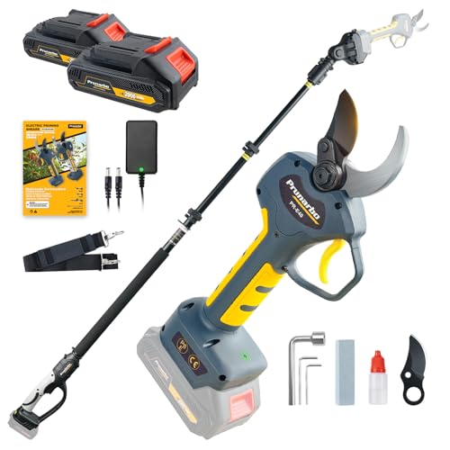 2-in-1 40mm 1.6inch Cordless Pole Pruner & Electric Pruning Shears - style: PR-E40-Set
