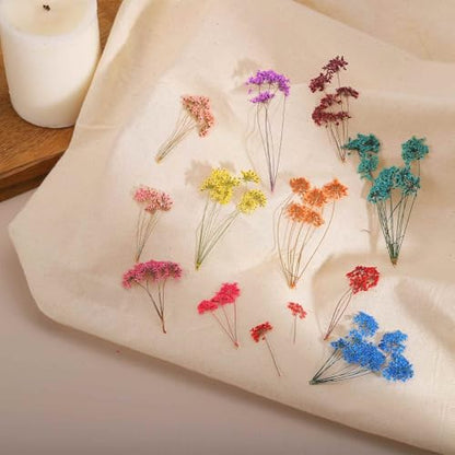 MECCANIXITY 12 Pcs Natural Dried Pressed Flowers for Craft, Lace Real Pressed Dried Flowers Colorful Bouquets for Resin Moulds DIY Scrapbooking Candle Jewelry Making, Dark Pink - color: Dark Pink