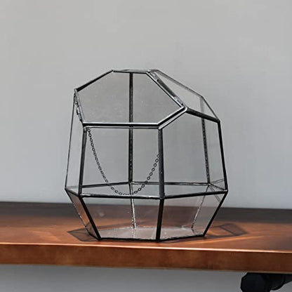 NCYP Handmade 7.5inches Small Close Geometric Terrarium with Door, Black Irregular Glass Planter, Modern Succulent Cacti Flower Pot, Home Garden Decor DIY Gift (Plants and Props NOT Included) - size: 8x7x7.5inches