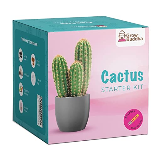 Cactus Kit Grow Your Own Cactus Seeds Starter Kit | Plants, Seeds & Bulbs | Easily Grow Beautiful Varieties of Cactus Plants with Complete Beginner Indoor Cacti Kit – House Plant - Men Women Gifts