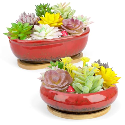 Succulent Pots, 1 Rectangle Planter + 1 Ceramic Bonsai Pots with Drain Tray | 2 Pack Large Shallow Succulent Planters for Indoor Plants, Round Cactus Flower Plant Pot for Desk Windowsill Decor - color: Red