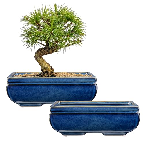 Villa Como Set of 2 Large Bonsai Pots with with Drainage Hole, 8.7" | Blue Glazed Rectangle Ceramic Bonsai Tree Pots, Shallow Bonsai Planters for Indoor Outdoor Plant, Succulents, Cactus, Flowers - color: Blue, size: 8.7"x5.9"x3.1"