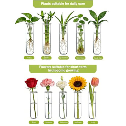 XXXFLOWER Wall Hanging Propagation Station with Wooden Stand - color: Brown, size: 21 Tube Vases