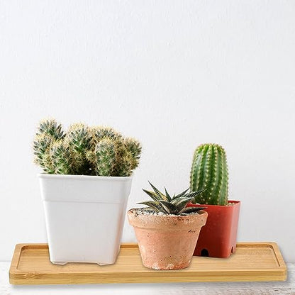 PATIKIL Bamboo Wood Saucer, 10.5x3 Inch Rectangle Wooden Plant Drainage Tray Bonsai Plants Saucer Succulent Pot for Home Balcony Patio - size: 10.5" x 10.5" x 3"
