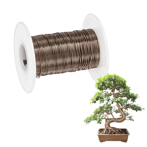 M METERXITY 1-Pack Bonsai Training Wire, 0.8mm x 66ft/20m Anodized Aluminum Bonsai Tree Wire for Fine Trunk/Gardening Branch/DIY Crafting [Brown] - color: Brown, size: 0.8mm x 66ft/20m
