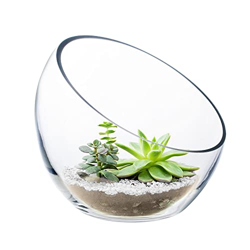 CYS EXCEL Glass Slant Cut Bubble Bowl (H-6" W-7") Clear Flower Vase Globe Bowl Terrarium Round Planter Decorative Centerpiece - size: H-6" W-7"
