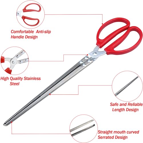 15 Inch Reptile Feeding Tongs, Extra Long Large Snake Feeding Tweezers, Curved or Straight Design Heavy Duty Stainless Steel Feeding Tongs for Ball Python Accessories Aquascape Maintenance