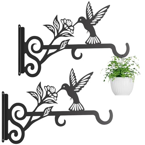 2-Pack Aesthetic Plant Hangers Outdoor – 10 Inch Metal Hanging Plant Bracket with Beautiful Hummingbird Pattern – Anti Rust Plant Hooks for Hanging Plants, Bird Feeder, Windchime, Lantern - size: 2 Pack
