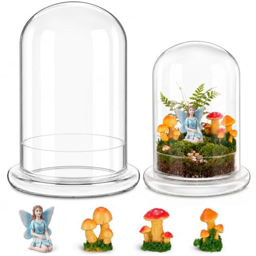 Hushee 5 Pack Decorative 1 Glass Cloche Dome 8.2'' x 5.9'' - No Plants - size: 8.2'' X 5.9''