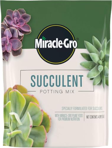 Miracle-Gro Succulent Potting Mix - Potting Soil Mix for Indoor Succulents, Aloe Vera and More, Made with Miracle-Gro Plant Food, 4 qt. (Pack of 10) - size: 10 Pack, style: Succulent