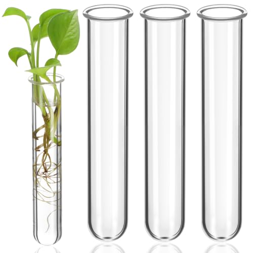 Sewroro 4Pcs Clear Glass Test Tube Vases 5.90 in Hydroponic Propagation Tubes for Small Plants Glass Desk Vase Terrarium for Home Office Shelf Wedding Decor