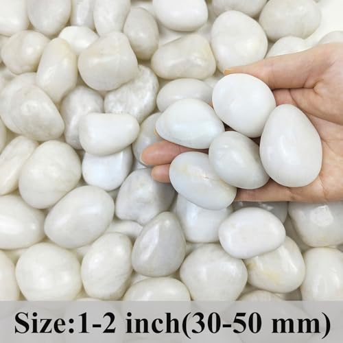 FANTIAN 2 lbs Polished White Pebbles for Pebbles, 1-2 Inch Smooth White River Rocks for Plants Potted Vases Fillers Fish Tank Landscaping and Outdoor Garden Decorative Rocks - size: 1-2 Inch, style: 2 Pounds
