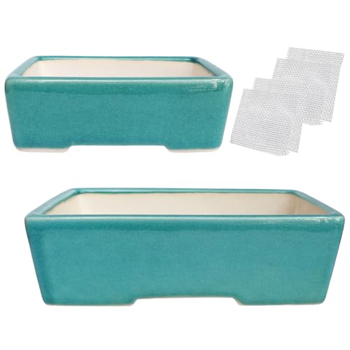 Set of 2 Zisha White Clay Bonsai Pot Glazed Shallow Succulent Planter Blue - color: Blue