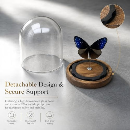 1pc Real Butterfly Specimen with Wooden Pedestal, Glass Bell Jar Display Case, Desktop Insect Collection, Scientific Educational Ornament (Euploea mulcibe) - color: Euploea Mulcibe