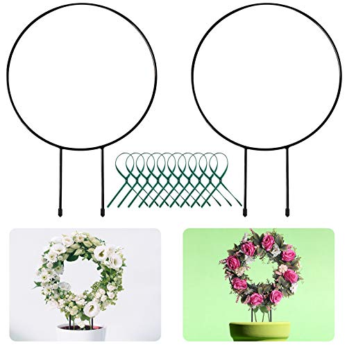 Legigo Black Metal Plant Trellis - Iron Vine Support Wire with 10 Twist Ties for Potted Flowers (2 Circle)