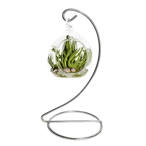 6 Inch Silver Ornament Display Stand, Metal Ornament Hanger Stand for Hanging Glass Globe, Air Plant Terrarium, Christmas Ornament, Witch Ball, Home Office Wedding Decoration (Sliver) - color: Sliver