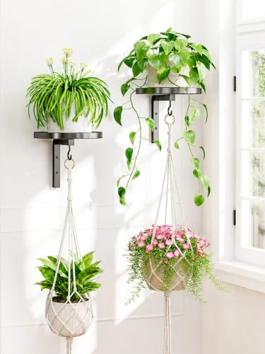 iDavosic.ly Wall Plant Holder with Macrame Hanger 2 Pack for Indoor, Black - color: Black with 2 Hanger, size: 2 Pack