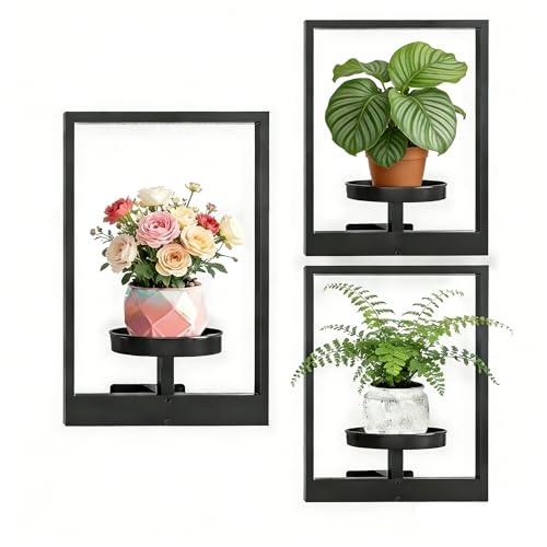 Wall Planter for Indoor Plants,Metal Floating Plant Racks,Picture Frame Design Hanging,Suitable for Window Plant Holders for Living Room,Bedroom,Balcony,Entryway,Patio 3-Pack