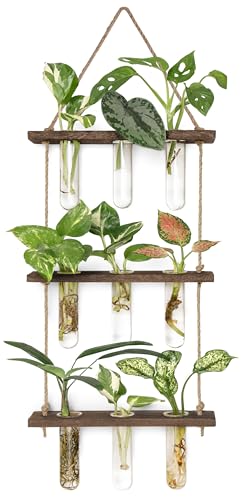 Mkono Plant Propagation Station, 3 Tier Small Brown Wall Hanging Vase Tubes | Glass Terrarium Planter,Wooden Stand,for Hydroponic Cuttings Flowers,Bathroom Living Room Office Decor,Plant Lovers Gift - color: Brown, size: Small