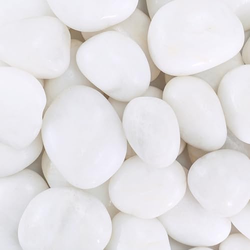 Large River Rocks for Landscaping, 40lbs White Pebbles for Indoor Plants, 2-3 Inch Decorative Rocks for Planters, High Polished Stones for Vase Filler Fish Tank Garden - size: 2-3 inch, style: 40 lbs