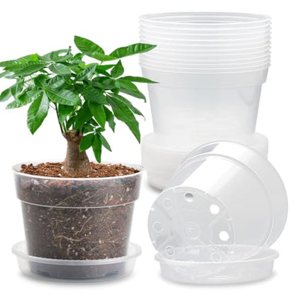 12 Pack 7 Inch Clear Nursery Pots with Saucer, Transparent Plastic Plant Pots with Drainage Holes, Sturdy Plant Starter Pots, Planter Pot for Planting Succulent Flower Herb Vegetable, Gardening Gifts - size: 7 Inch-12P