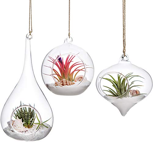 Mkono 3 Pack Air Plant Holder, Glass Hanging Planter Terrarium Globe Hanger