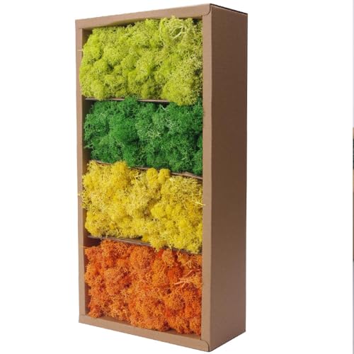 Preserved Moss-1.1lb 4 Color Mix Pack Reindeer Craft Moss, Green Moss Artificial Moss Suitable for Flowerbeds, Crafts, Home Office Artistic Decoration(Green Tones-5) - color: GREEN TONES-5, size: 1.1LB
