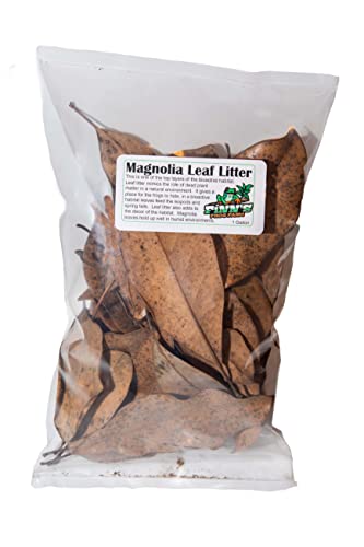 Magnolia Leaf Litter, Hand Collected and Carefully Bagged in The USA -1 Gallon