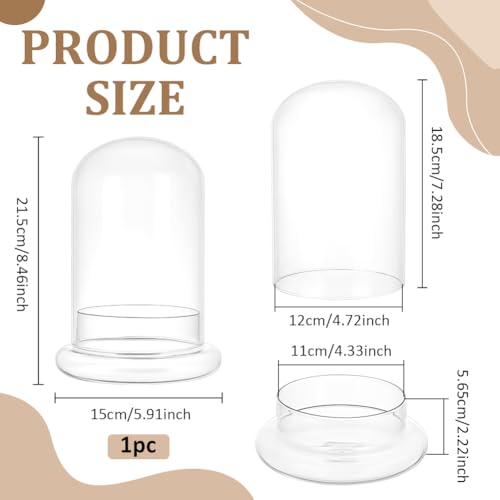 PH PandaHall Glass Dome Cloche 5.5x8.46inch Clear Terrarium Planter with Base Tabletop Display Terrarium for Indoor Plants Succulents Cactus Tabletop Home Decoration - size: 5.5x8.46inch