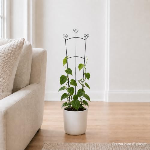 31.5 Inch Trellis for Potted Plants, Metal Plant Trellis for Climbing Plants, Plant Support for Ivy, Monstera, Hoya, Indoor & Outdoor Houseplant Trellis, Black, 1 Pack - size: 1 Pack/31in