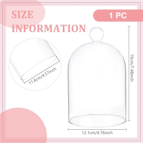 BENECREAT 4.7x6.3inch Glass Display Cloche, Clear Dustproof Dome with Bell, Glass Bell Cloche for Plants, Fairy Lights or Table Wedding Decor - size: 4.7x6.3 Inch
