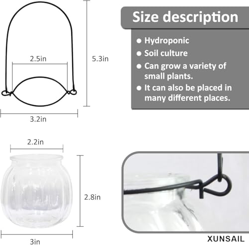 XUNSAIL Terrarium Plants Glass Air Plant Hanging Terrarium Plants Glass Home Decor Vase Wall Hanging Pots (6 PCS Air Plant