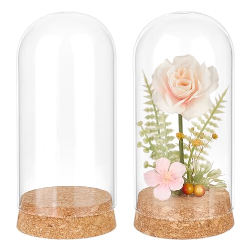 BENECREAT 2Pcs Glass Display Dome Cloche, 5.1x2.5Inch Glass Decorative Jars with Cork Base for Flower Plants, Crafts Decorations, ID: 2.4Inch