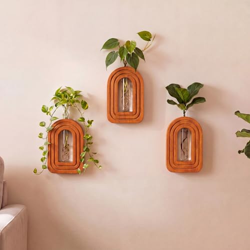 Capoda 3 Pack Wood Wall Planter Arch Propagation Station Wooden Hanging Vase with Glass Tube Boho Rustic Farmhouse Wall Decoration for Indoor Living Room Bedroom Bathroom(Walnut Color) - color: Walnut Color