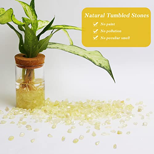 QICQDRAM Polished Gem Stones Rocks Citrine Crystals Chips Bulk Natural 1LB | Small Tumbled Stones Crystal Chips Bulk for Healing Crystals Fish Tank Gravel Vase Filler (405g/14.28oz) - color: Citrine, size: 1LB