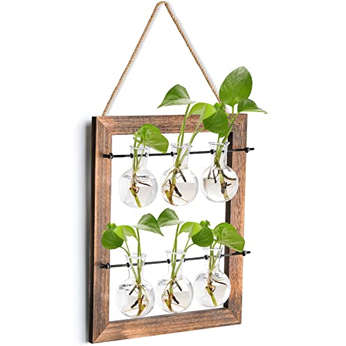 Elsjoy Wall Hanging Propagation Station, Hanging Glass Terrarium Wall Planter Vase for Hydroponics Plants, Home Decor
