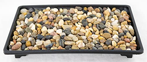 1 Rectangular Black Plastic Humidity/Drip Tray for Bonsai Tree and House Indoor Plants + Rock 10.5"x 7"x 1" (B-7+R)