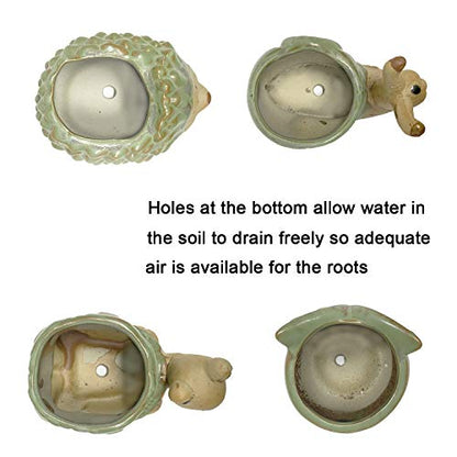 Small Ceramic Succulent Pot with Drainage, Animal Succulent Planter, 4.4 Inch Flower Pots, for Flower, Cactus, Mini Succulent Plants, Indoor and Outdoor use, Set of 4 Garden Gift
