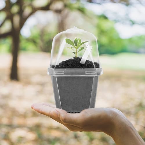 50 Pcs 3" Clear Plant Nursery Pot with Humidity Dome, Plastic Gardening Pot | Plastic Plant Container with Labels, Reusable Gardening Containers Cups for Seedlings Vegetables Succulents Cuttings - color: 50pcs-white, size: 3 Inch