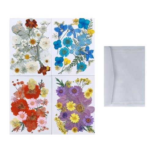 88PCS Mixed Natural Pressed Flowers Craft Kit with Tracing Paper Storage Organizer for DIY Resin Coaster Bookmark Scrapbooking Wedding Vow Card Phone Case Nail Décor - color: White, Orange, Blue, Purple
