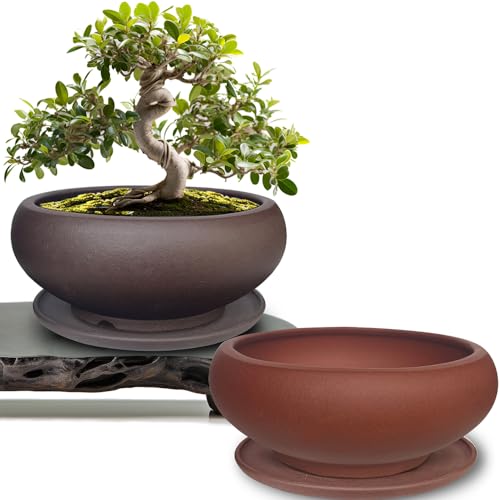 MUZHI 5.3” Round Ceramic Bonsai Starter Pots with Trays Set of 2 Brown and Red, Small Vintage Unglazed Succulent Pots with Saucers Minimalist Classic Mame Bonsai Planter with Drainage
