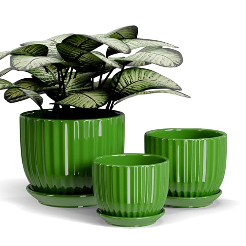 Green Plant Pots,Ceramic Planters with Drainage Holes & Saucers Set of 3 | Planters for Indoor Plants | Small Succulent Pots | Cute Pots for Plants | Ceramic Planter | Medium Garden Pots - color: Green